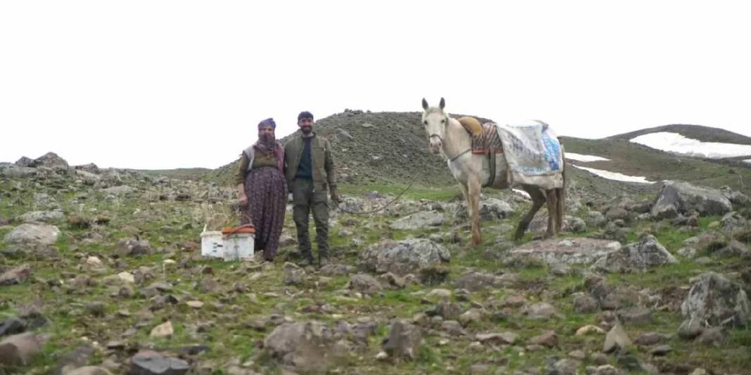 Tüccarlar kilosunu 50 TL’den alıyor: Köylünün geçim kaynağı haline geldi 5